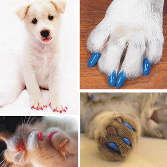 20 sztuk Pet Dog Cats Nail Caps Covers Kitten Control Akcesoria dla zwierząt domowych