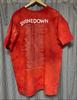 [USED] SHINEDOWN band t-shirt 00s tour t-shirt