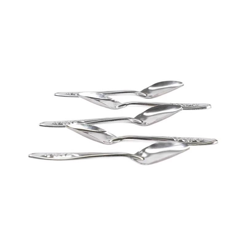 Newcomer Exclusive: Parrot Milk Feeding Syringe & Spoon for Baby Birds