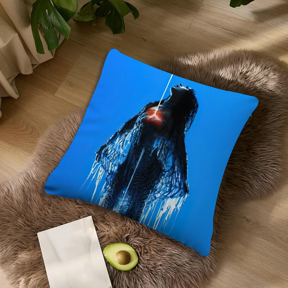 K-Katy Singer P-Perry 143 Kissenbezug Wohnzimmer Akzent Sofa Rückenstütze Quadratisch Lounge Entspannender Nickerchen Begleiter Kissenbezug