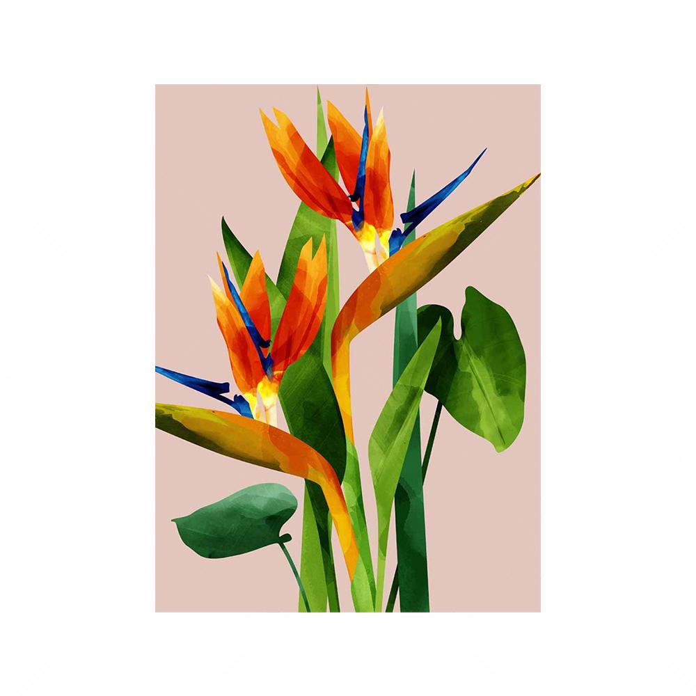 

Райские птицы, цветок, холст, картина, розовый ботанический плакат с растением и принт, тропический лист, настенные художественные фотографии для гостиной 70x100cm No Framed