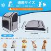 Honeypet Pet Carrier Backpack (Ventilated Mesh / Foldable / 8 Kg Capacity / Gray)
