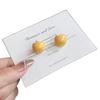Dopamine Summer Solid Color Drip Oil Korean Style Stud Earrings - High-End, Versatile, Secure Fit for Women
