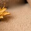Winter Lamb Wool Sofa Cushion Anti Slip Nordic Minimalist Cushion, Universal All Season Thicken