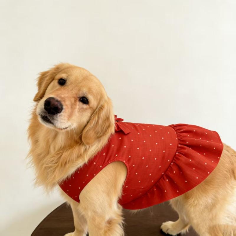 Golden Retriever Clothing Dress Summer Dog Clothes Corgi Border Collie Samoyed Husky Labrador Dobermann Big Large Pet Apparel