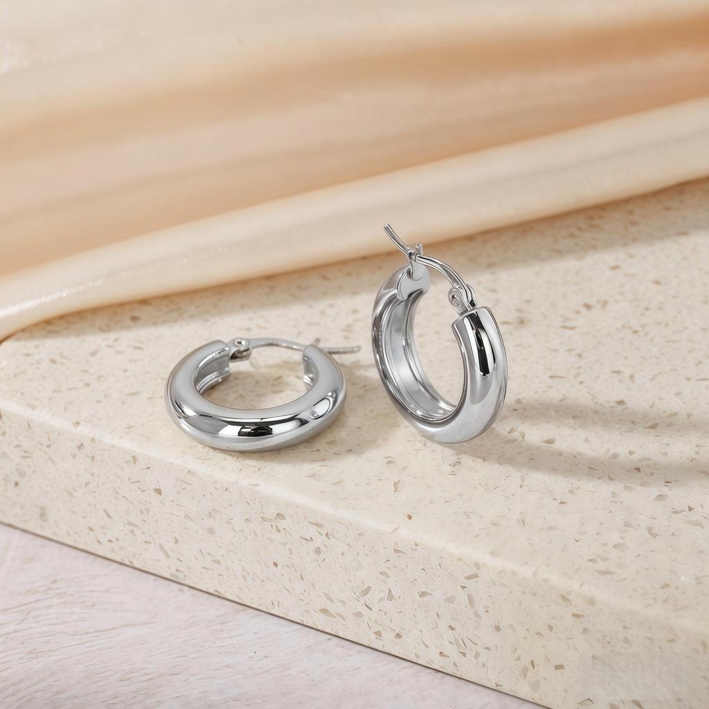 Titanium Steel Light Luxury Colorfast Hoop Earrings with High-End Feel