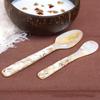 Natural Conch Shell Dessert Spoon 12/16cm Reusable Eco-friendly Spoon for Coffee Ice Cream Caviar Home Party Dessert Bar Use