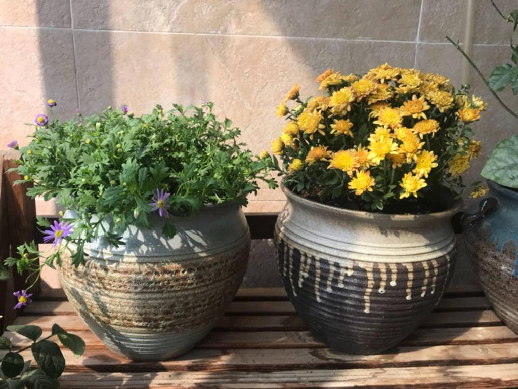 Handmade Retro Ceramic Succulent Planter with Large Caliber