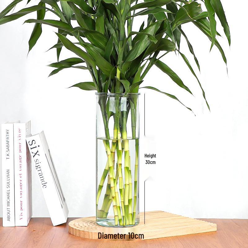 Lucky Bamboo Straight Glass Hydroponic Vase - Simple & Creative Micro Landscape Ornament