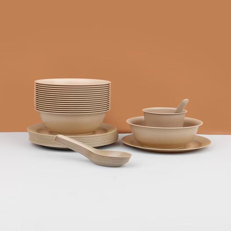 Disposable Ceramic Tableware Set