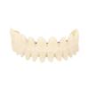 1Pair Resin Resin Denture Teeth Set Removable DIY False Teeth  For Training Models
