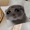 Funny Sad Hamster Emoticon   Pillow Cover for Bedroom Room and Living Room Sofa Decorative Cushion Cover