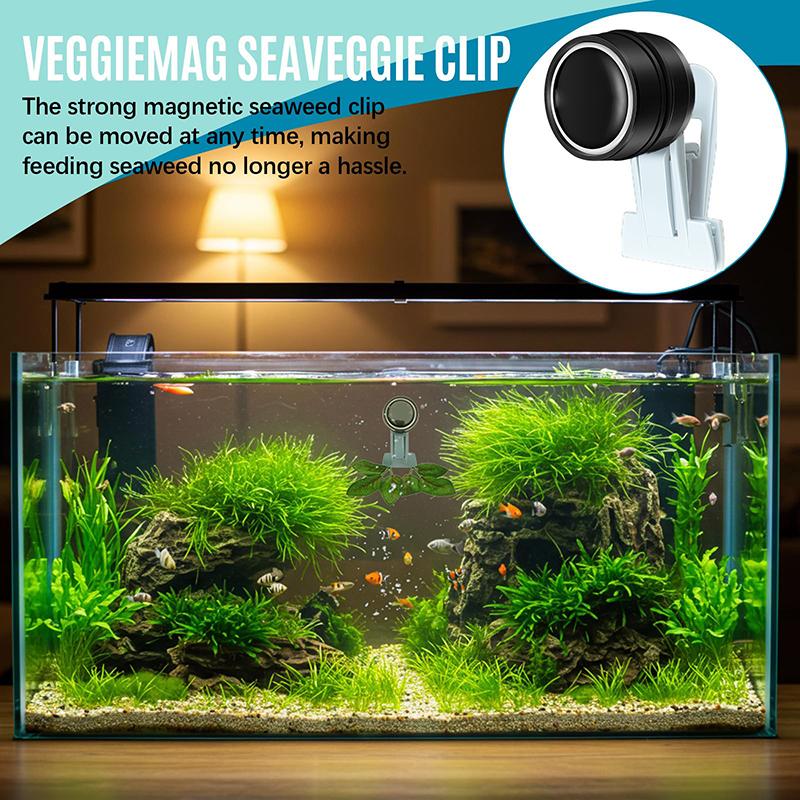 

Магнитные клипсы для кормления водорослями Аксессуары для аквариума с морской водой Магнит для водорослей Кормушка для морских овощей для рыб