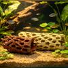 Safe Fish Tank Cave Aquarium Shrimp Cave, Artificial Tree Trunk Hide, Easy Clean Decor Hideout, Realistic for Betta Hiding And Resting Natural