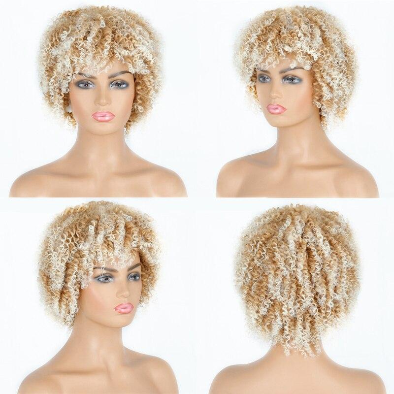 LISI HAIR Women's Short Afro Kinky Curly Wigs With Bangs Ombre Brown Synthetic Wig Black Daily Party Headgear with Clips