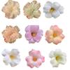 Haaraccessoires – Haarclips