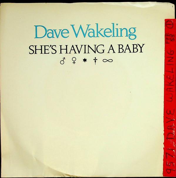 

7-дюймовая пластинка DAVE WAKELING Shes Having A Baby IRS53238 I.R.S. Записи 1988 Канада Танцевальная Электроника Б/У