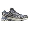 SALOMON Xa Pro 3D V9 Gore Tex Flint Stone Black Ghost Grey L47270600