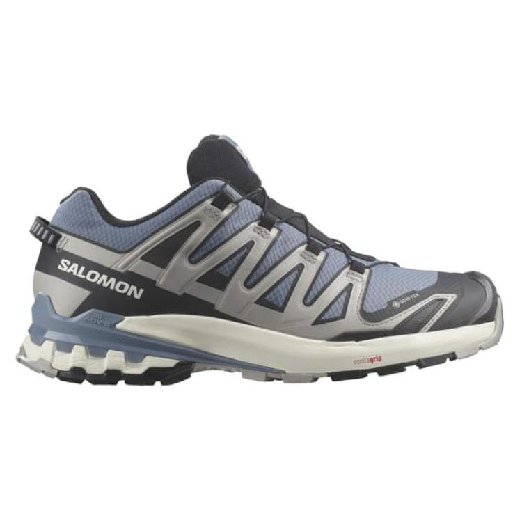 SALOMON Xa Pro 3D V9 Gore Tex Flint Stone Black Ghost Grey L47270600