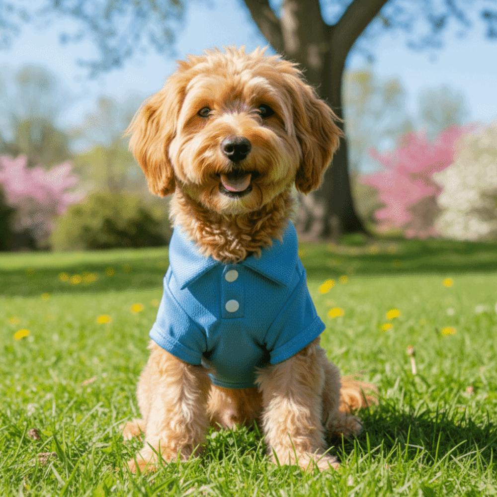 Modisches Atmungsaktives Hundeshirt Einfarbige Weiche Hundet-Shirts Bequeme Leichte Haustier Zweibeiner Kleidung Täglicher Spaziergang