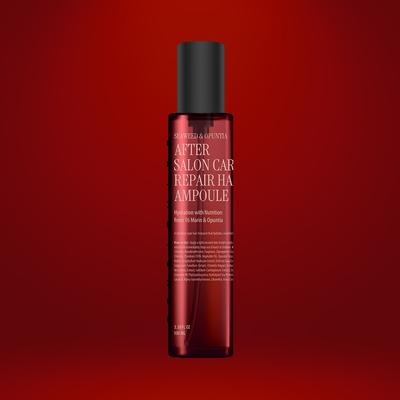 After Salon Care Repair Haarampulle 100ml
