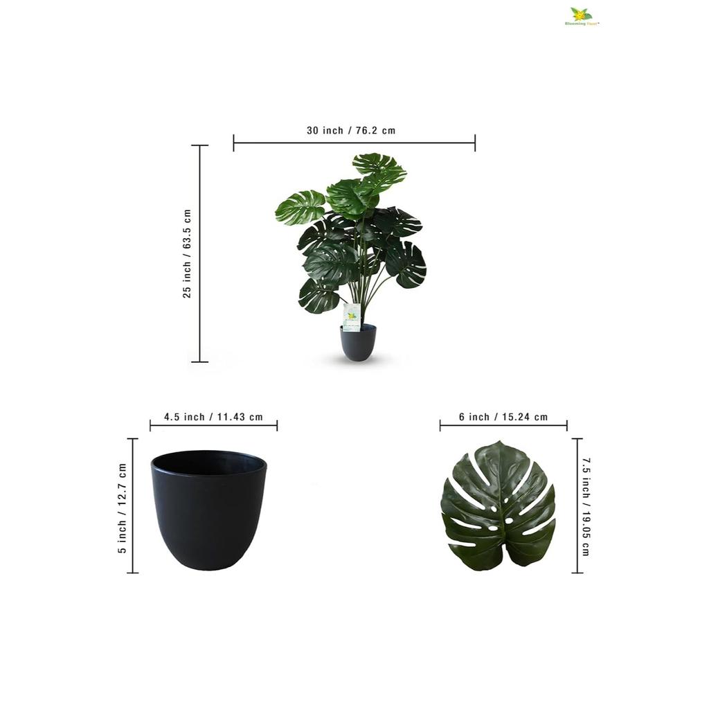 18 Green Leaves | Big Ornamental Plant for Interior Decor/Home Decor/Office Decor | 63.5 Cm Tall Natural Looking Plant