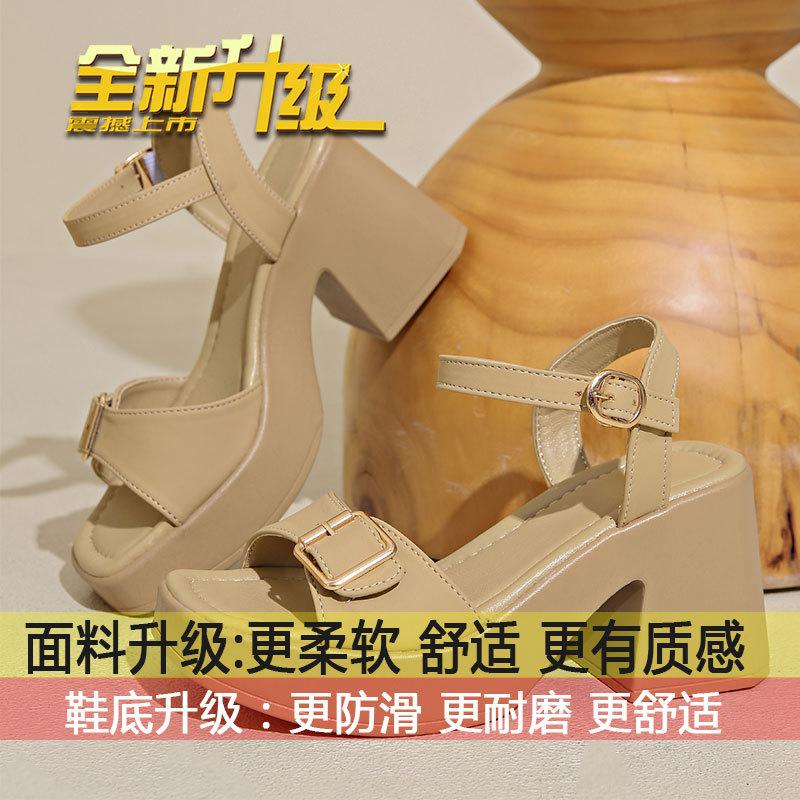 Thick-heeled Roman Sandals for Women Wear 2025 New Summer Fashion Casual Women's Shoes Waterproof Platform Wedge Heels