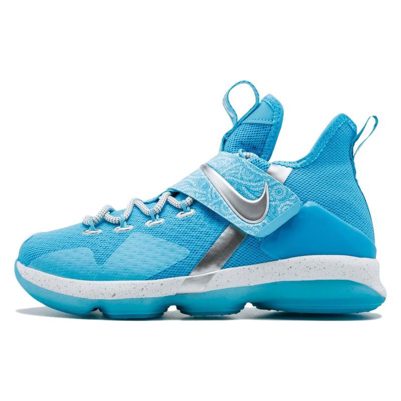 

Nike LeBron 14 Ric Flair GS AA3258-404 40