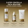 SKIN1004 Centella Teca Cream 75ml Teca High Centella Asiatica Low Naturally Centella Cream Moisturizing, Extract, Irritation, Grown, Anti-Aging