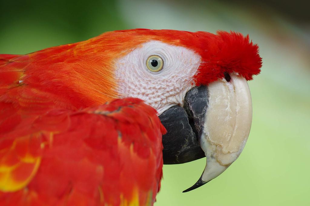 Pentax HD FA DC AW Is an Zoom Lens Ideal for Its and Construction Ensures Reliable Outdoor It Delivers Images Even In Harsh Lighting Including Pentax