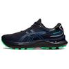 New Gel Cumulus 24 GORE TEX 'Black Blue Coast' 1011B484-001