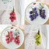 Funny Grapes Plush Toy Doll Unique Fruit Decorative Pendant For Creative And Quirky Decoration Short Plush Stuffed Toy