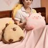 Cartoon Rice Ball Capybar Pillow Blanket Three-in-one Plush Doll Girl Nap Pillow Rest Pillow Warms Hands