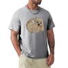 Wombat - Australian Animal painting T-Shirt Short t-shirt graphics t shirt sweat shirts sweat shirts,