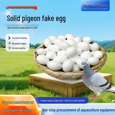 Huevo de Paloma Falso Sólido para Incubación y Simulación de Puesta de Huevos
