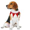Roupa e sapatos – Acessórios para cães