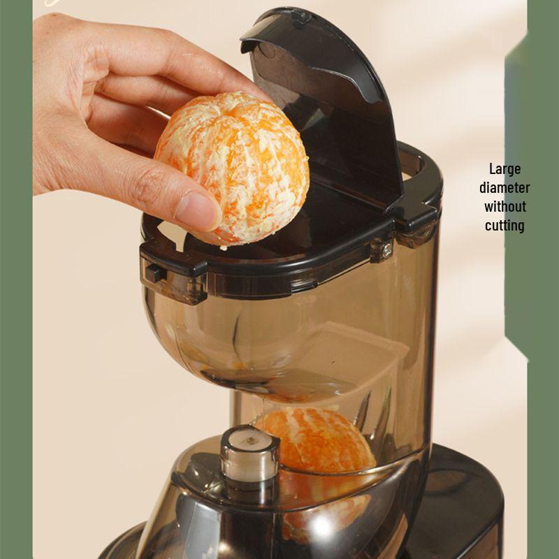 Lei De Zhu Electric Juicer: Large-Caliber, Automatic Juice & Pulp Separator for Fruits & Vegetables