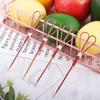 Snacks Party Decorative Disposable Cocktail Eco-friendly Sticks Picks Skewer Toothpick