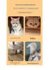 Solid Wood Washable Cat & Dog Bed - Four Seasons Princess Pet Nest