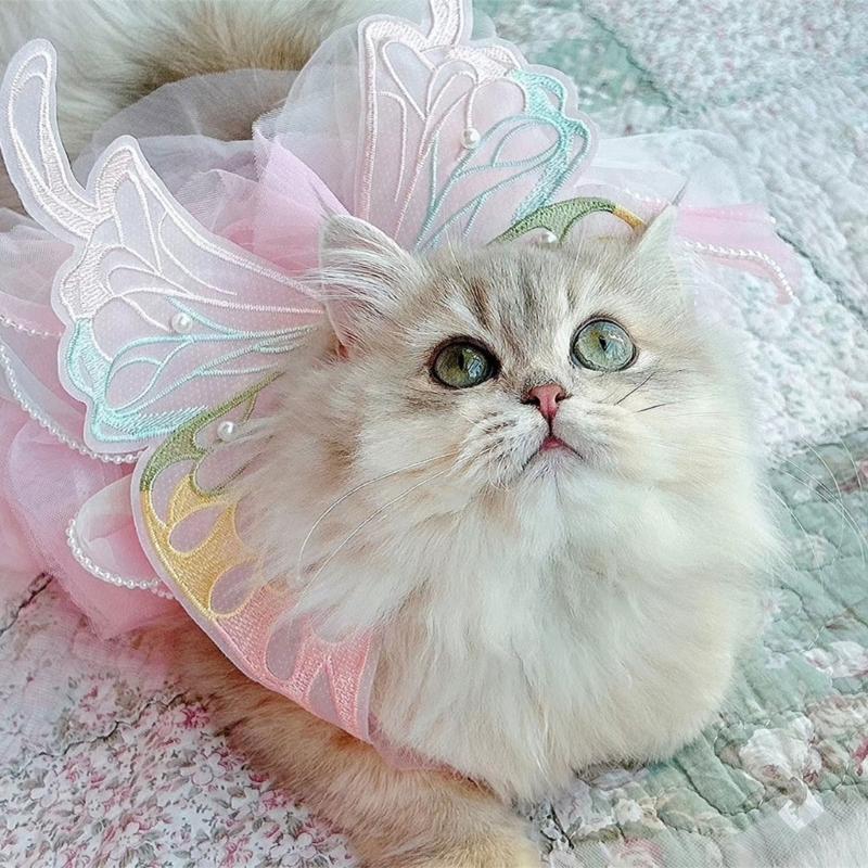 Pet Princess Gown for Cats and Small Dog Easy To Wear Butterfly Designs Cats Dress for Pet Birthdays and Photoshoots