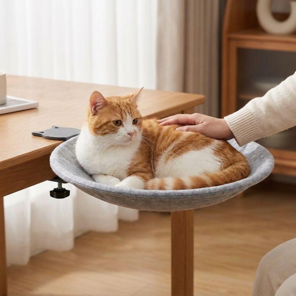 Removable Cover Cat Desk Bed Breathable Kitten Table Bed Universal Cat Perch Indoor Use