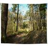 Wall Hanging Tapestry Psychedelic Nature Mountain Seascape Fog Forest Landscape Printed  Living Room Bedroom Home Decor
