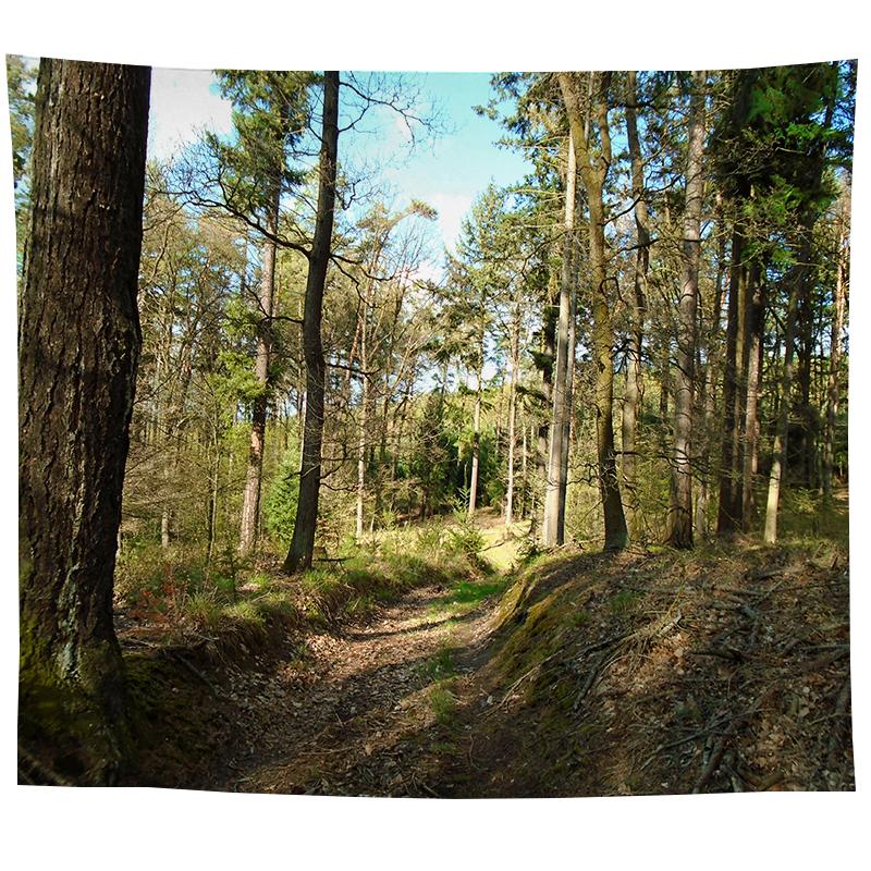 Wall Hanging Tapestry Psychedelic Nature Mountain Seascape Fog Forest Landscape Printed  Living Room Bedroom Home Decor