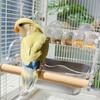 Bird Feeder Transparent Pet Supplies With Steel Bowl Parakeet Cage Feeder Water Tray For Cockatiels Lovebirds Budgies Parakeet
