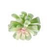 Diy Simulated Succulent Plant Hair Planting, Mini Fake Succulent Bonsai With Flowers, More Than 20 Styles Of Bn1