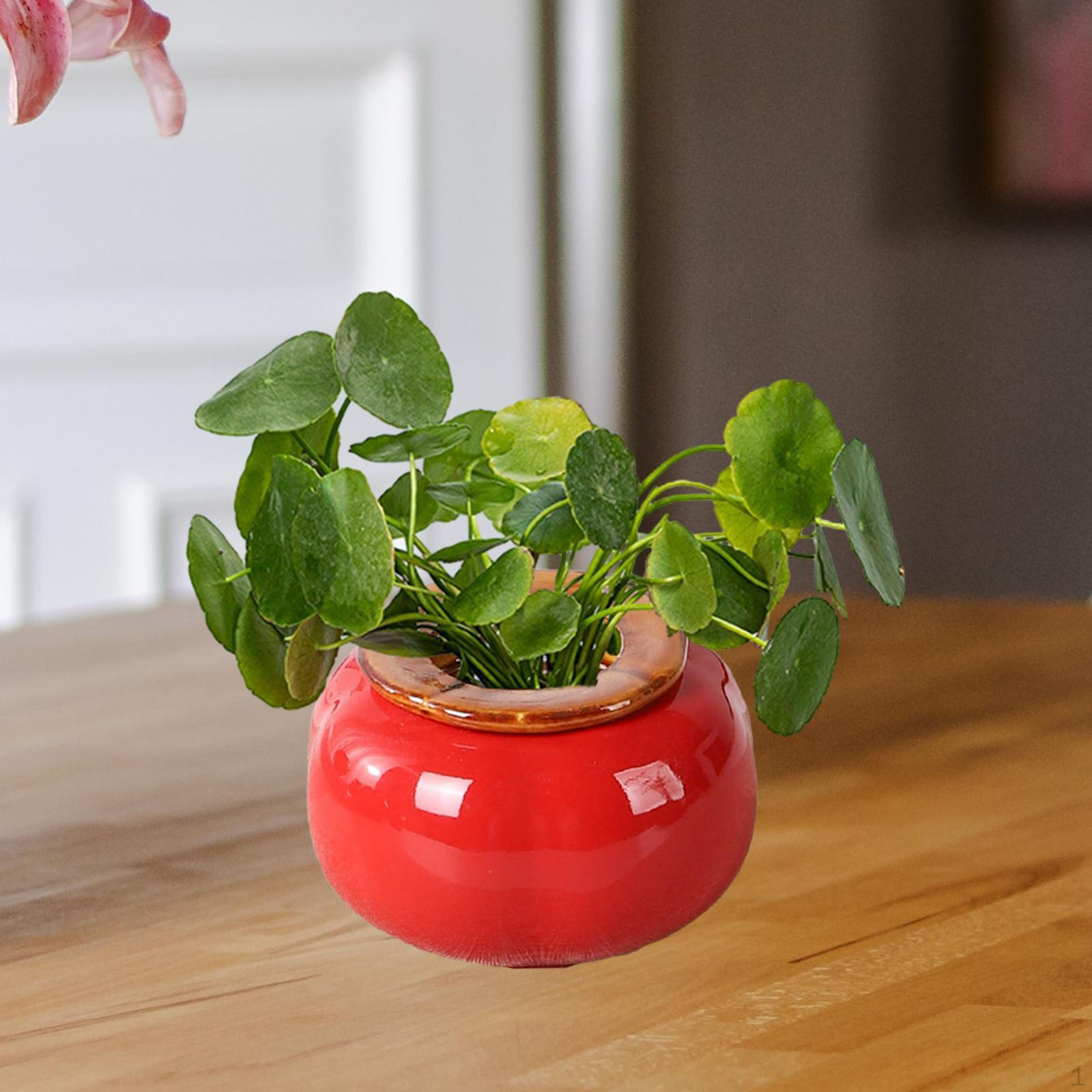 Elegant Persimmon Flower Vase for Home Decor and Table Centerpiece M