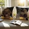 Abstract Cute Funny Pet Dog Meme Cushion Cover Pillowcase Antidustmite Invisible Zipper Short Plush Sofa Cushion
