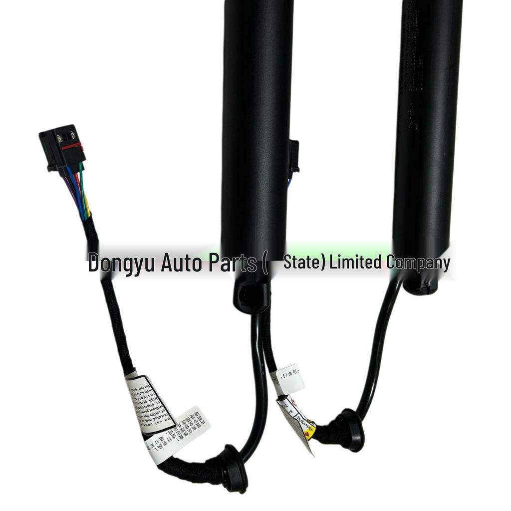 Hyundai Santa Fe Gen 4 Electric Tailgate Hydraulic Support Rod 81830S3100/81840S3100