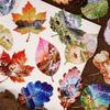 8Pcs Pack Leaf Landscape Creative Sticker Pack Fresh Healing Journal Collage Decor Decals