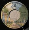 7-Zoll Schallplatten-Siegel CROFTS Das Liebesthema Aus One On One Mein WBS8405 Warner Bros. Re 1977 Kanada Rock Gebraucht